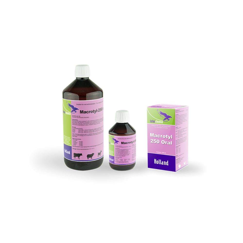 Makrolidlar