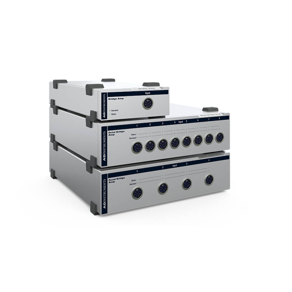 Amp