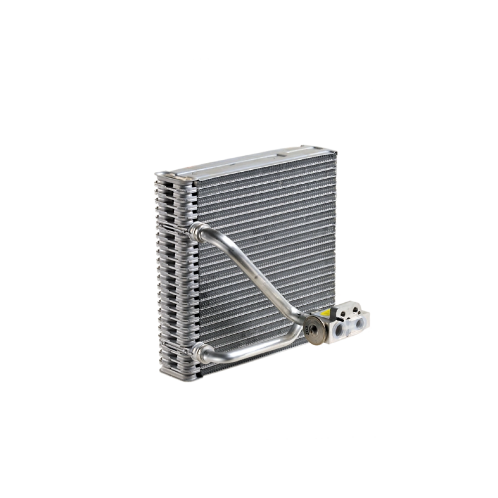 Evaporatorlar