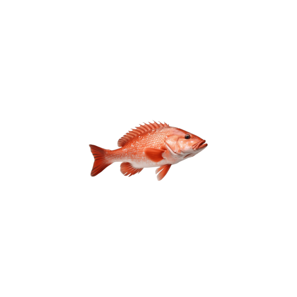 Grouper