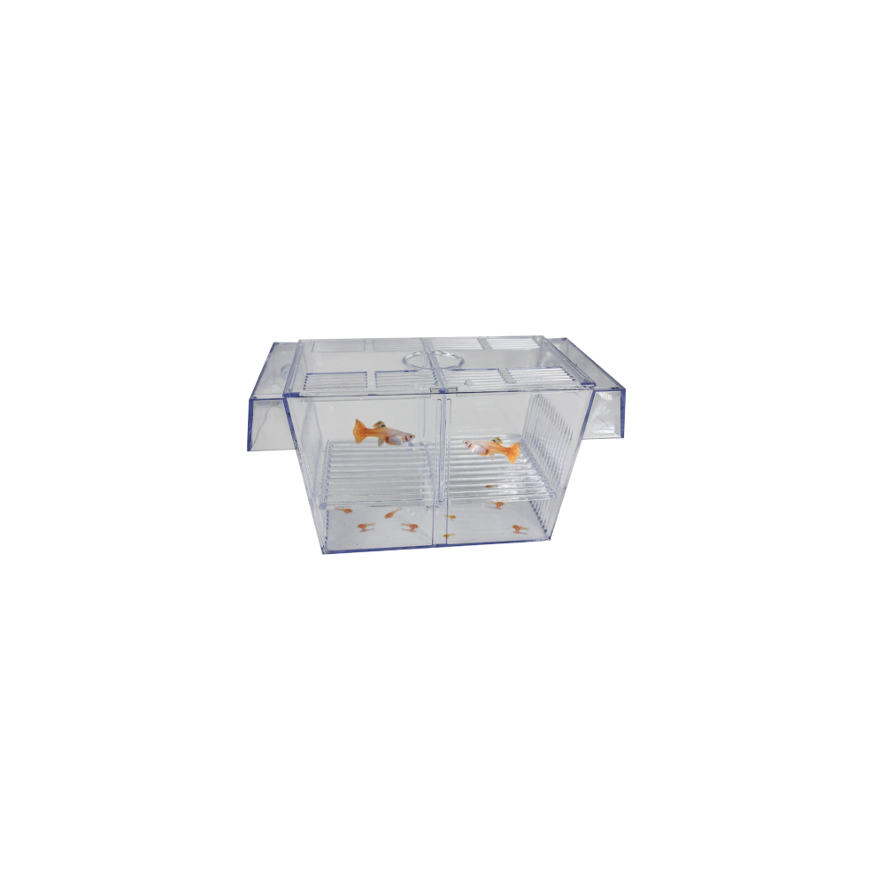 Kóbeytiw qutisi (breeding box)