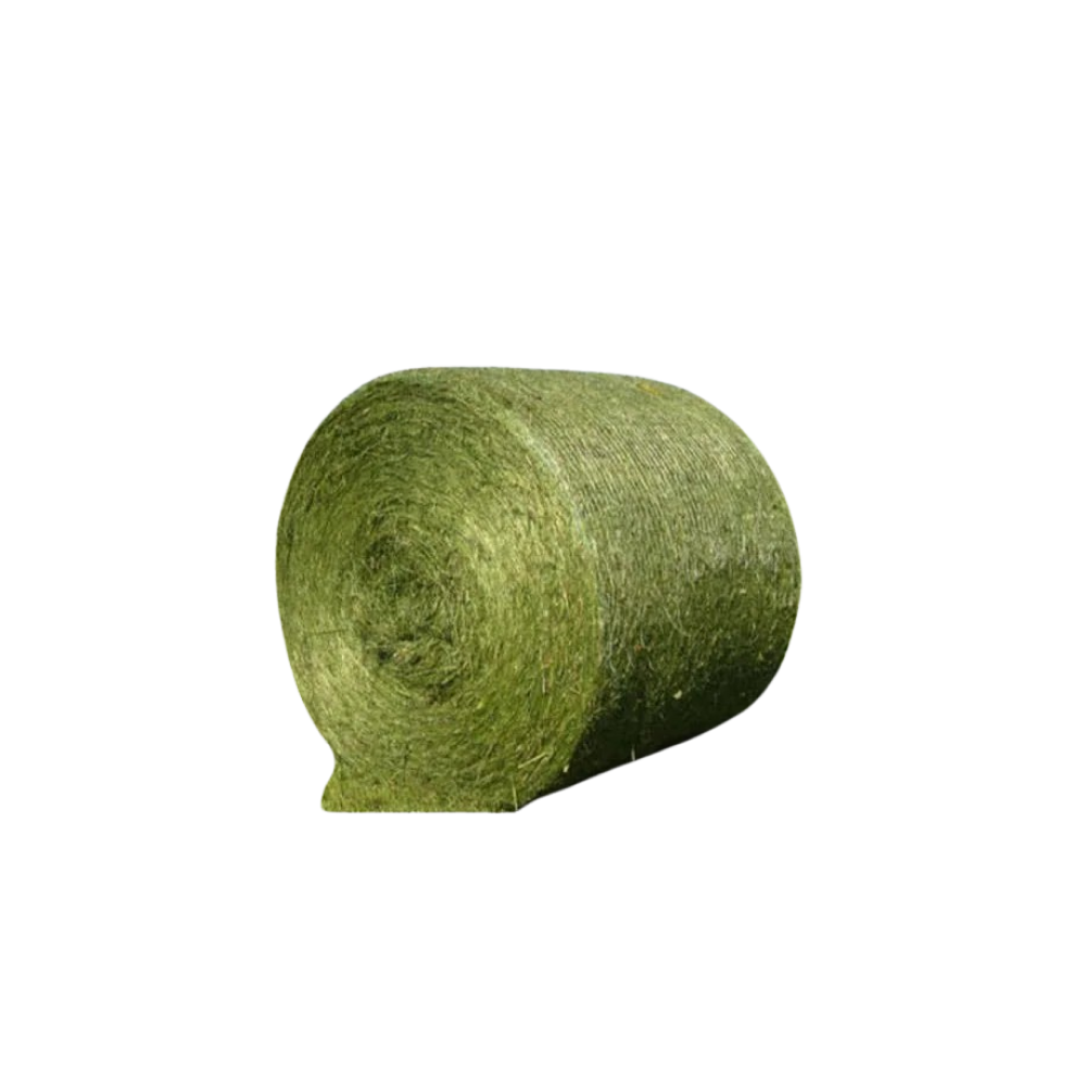Makka silosi