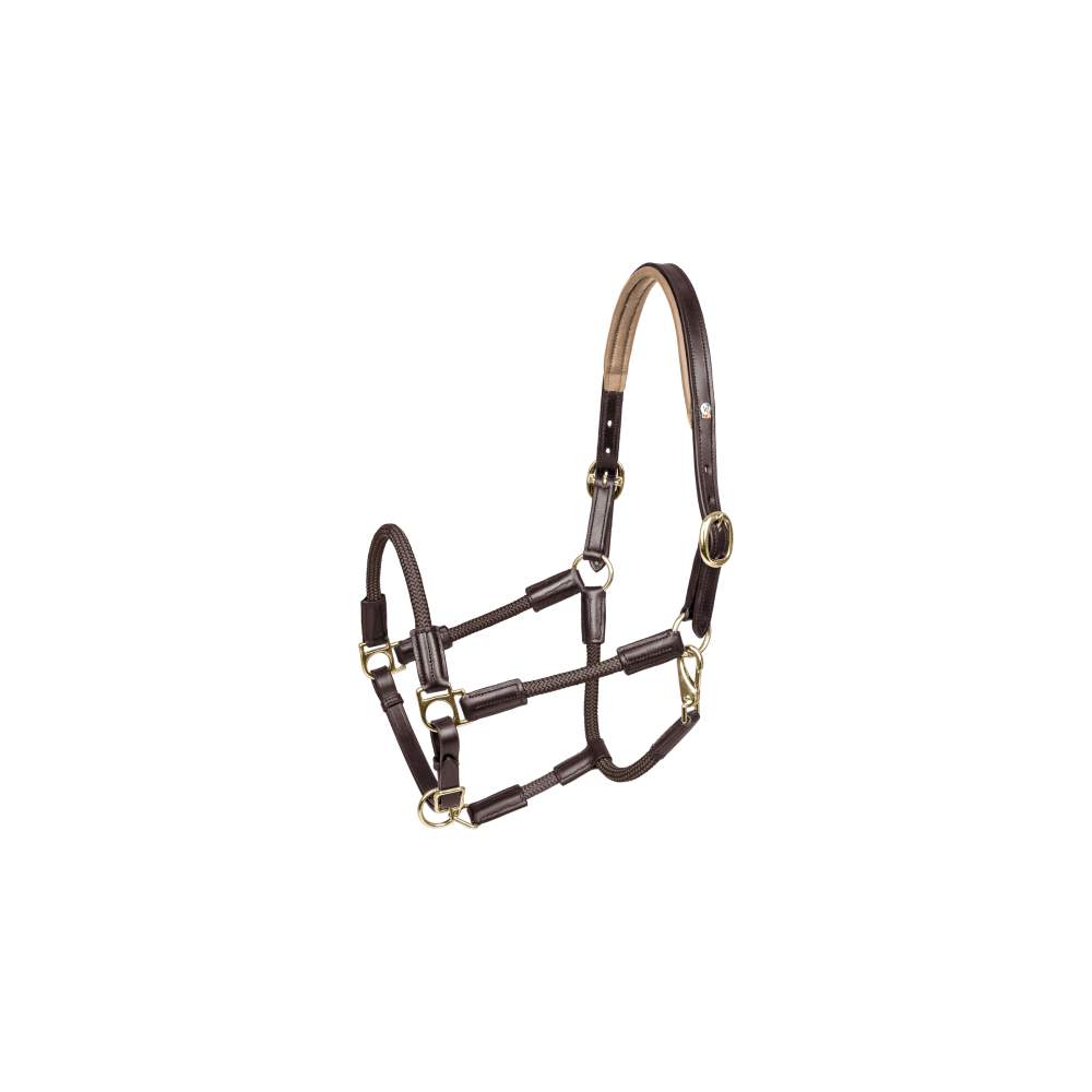 No‘xta (halter)