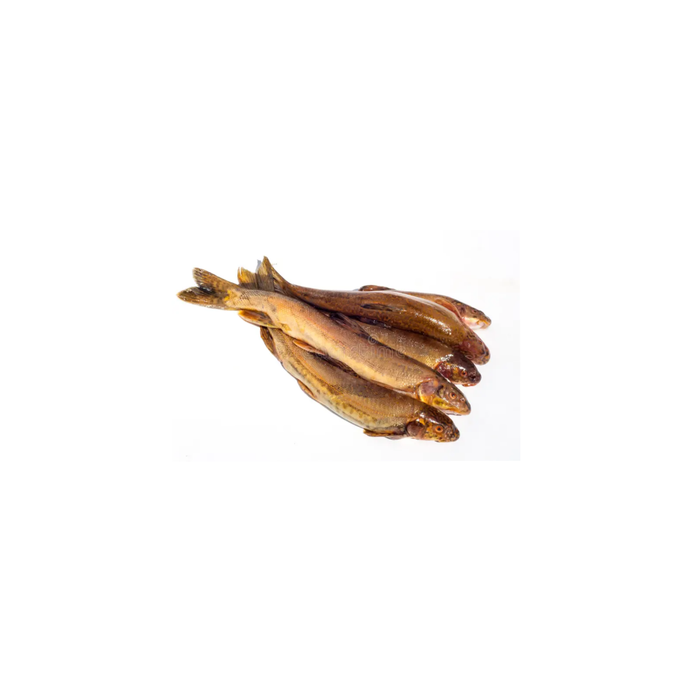 Osman (mountain fish)