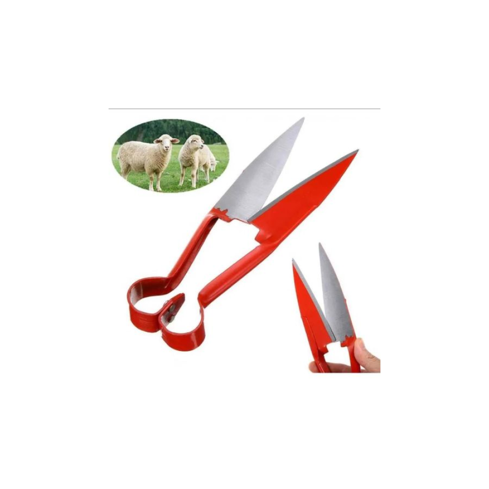 Qo‘l qaychisi (shears)