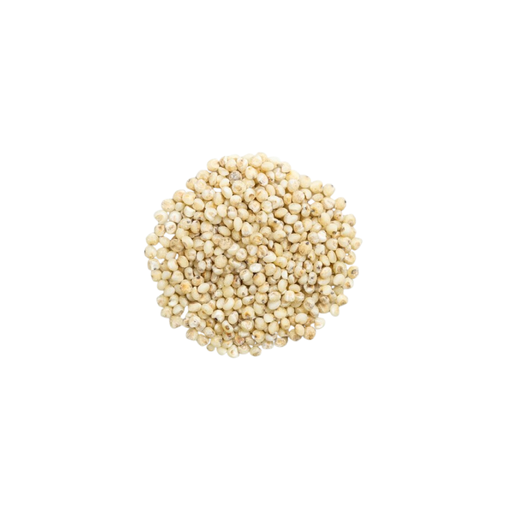 Sorgo