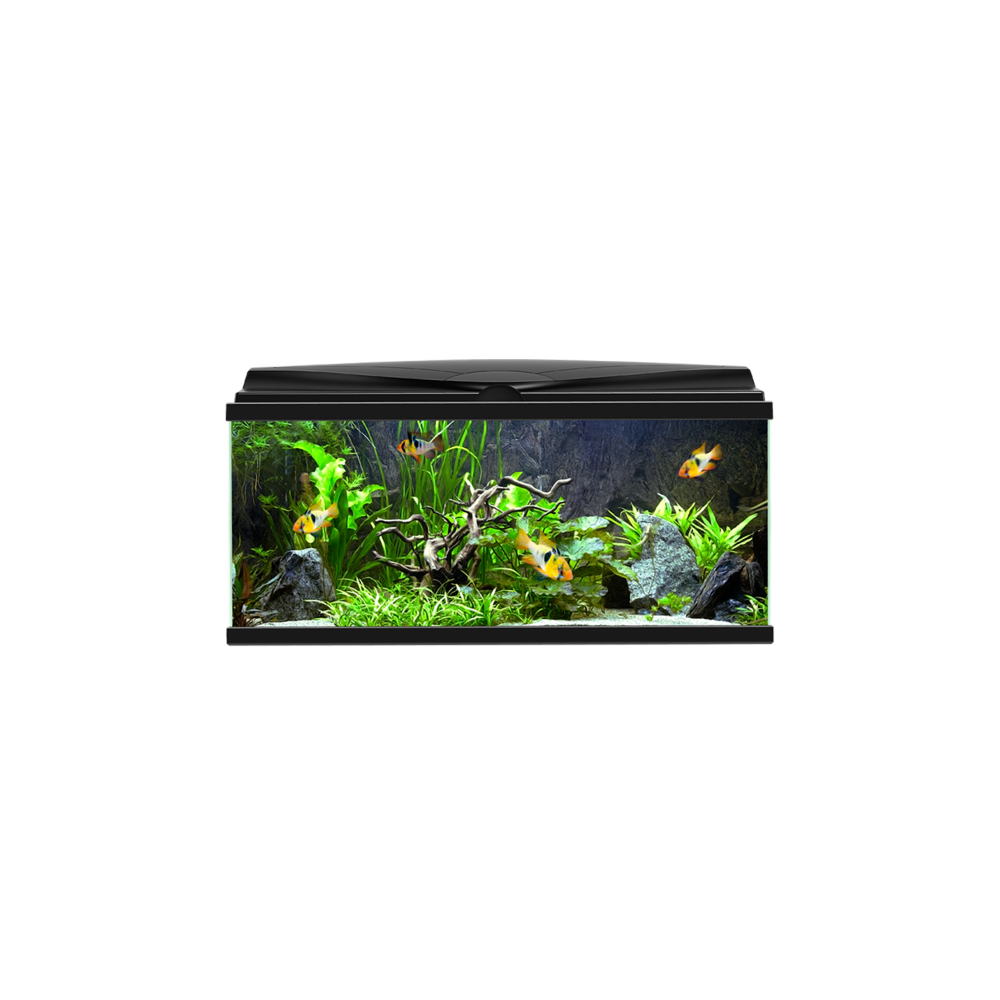 To‘rtburchak akvarium