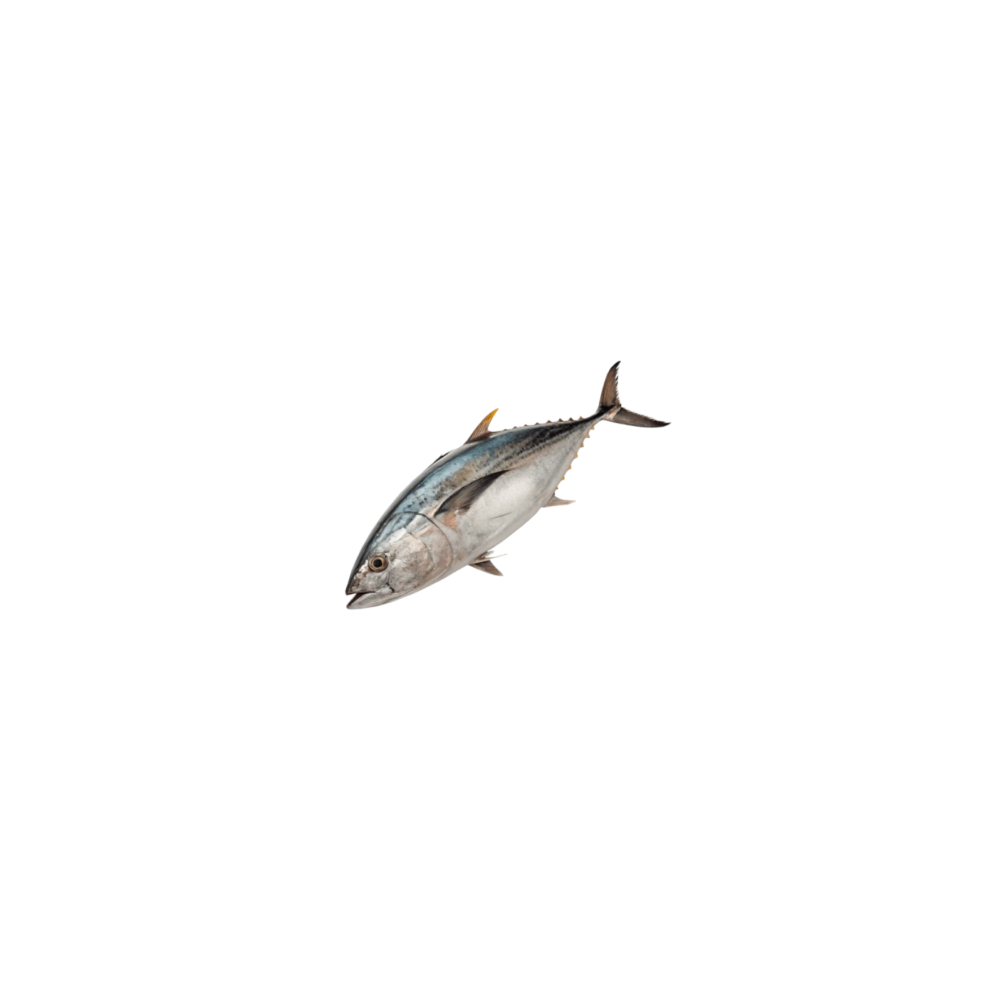 Tunets (tuna)
