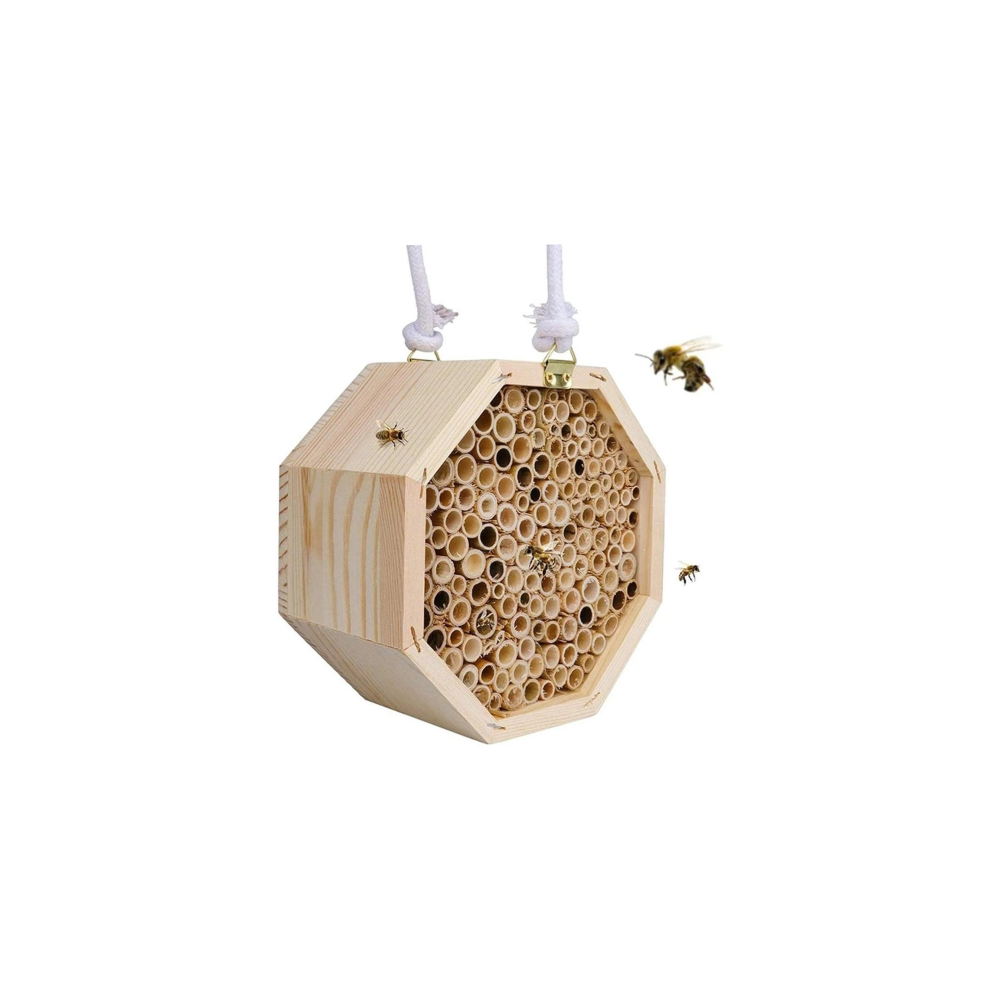 Beehives (hive system)