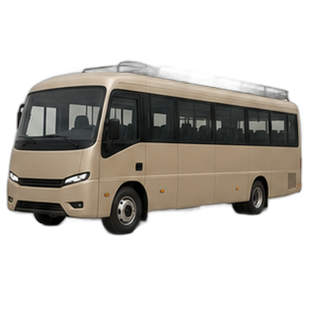 Turistik mikroavtobus