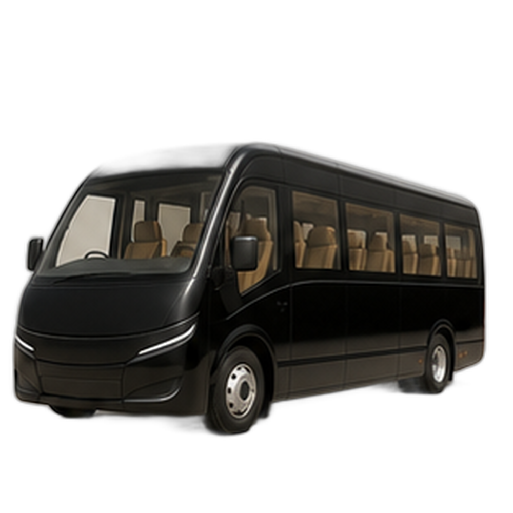 VIP mikroavtobus